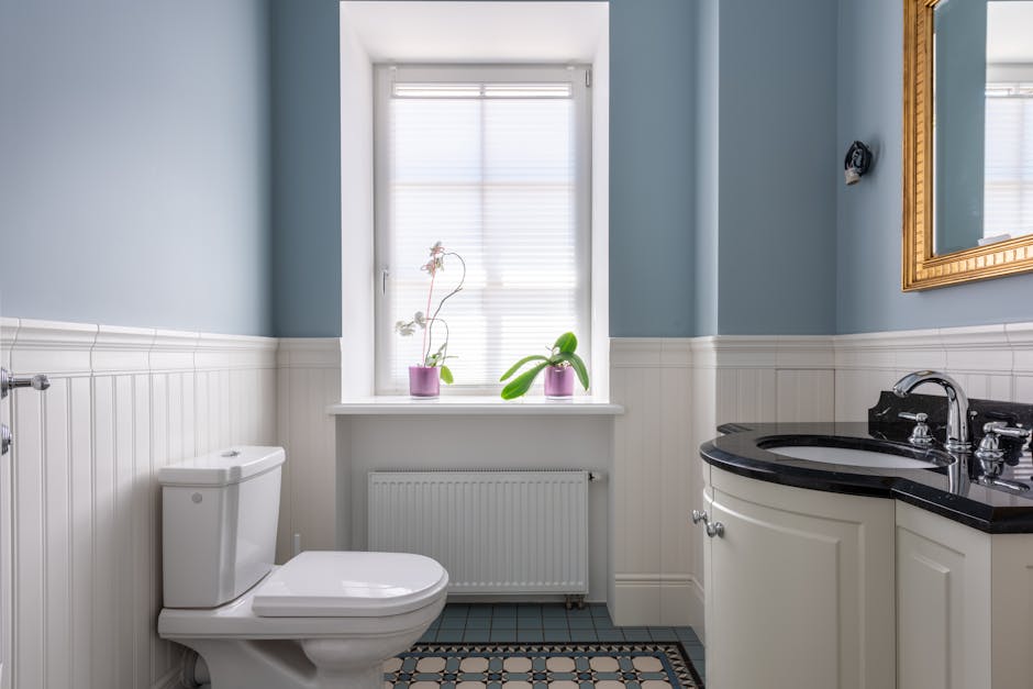 Toilet Repair & Installation in Newport Beach, CA - The Newport Beach Plumber